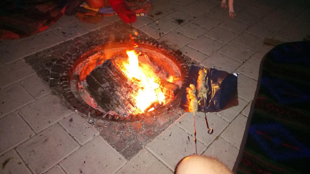 קאופבורן Ferienwohnung Mit Herz Fuer Tiere מראה חיצוני תמונה